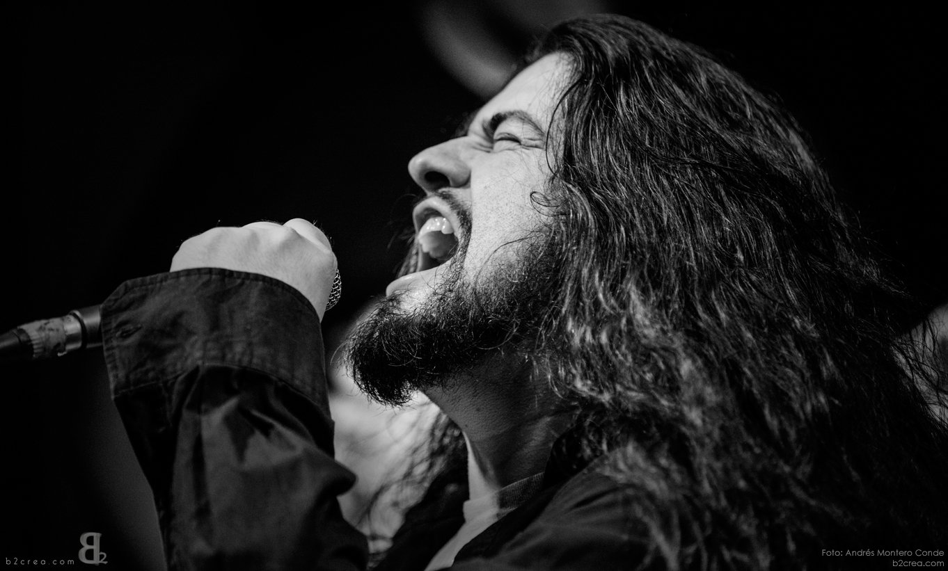 WT RELEASE CONCERT FEB 2016